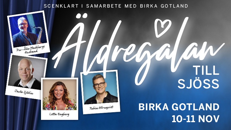Äldregalan till sjöss - Höstkryssning!