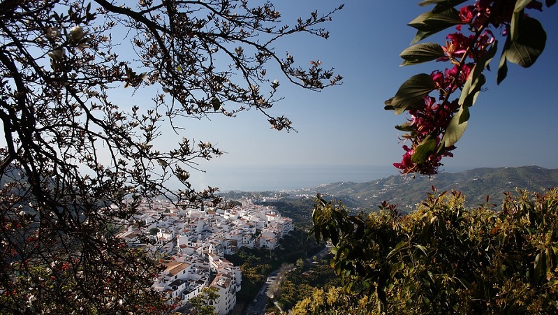 Unika Frigiliana Frigliana - vitkalkad bergsby omgiven av grönskande kullar och blommor under blå himmel.