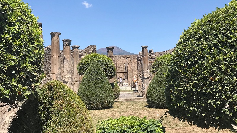 Pompeji Välklippta buskar och ruiner i Pompeji med Vesuvius i bakgrunden under klarblå himmel.