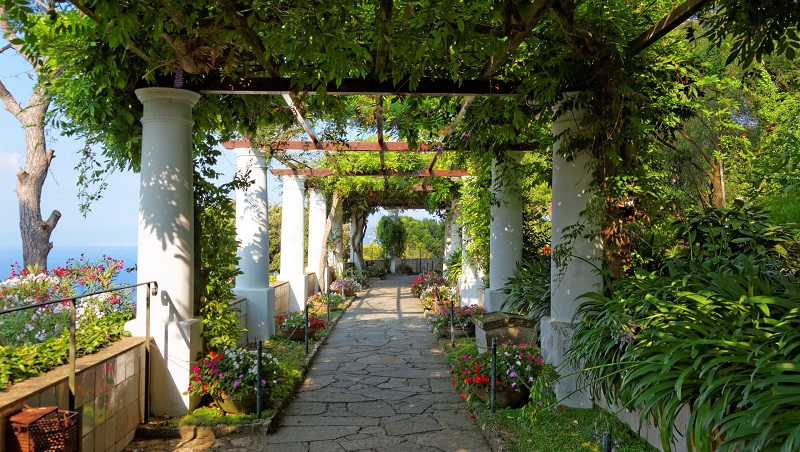 Villa San Micheles trädgårdar Grönskande trädgård med pelargång, blommor och utsikt över havet vid villa San Michele på Capri.