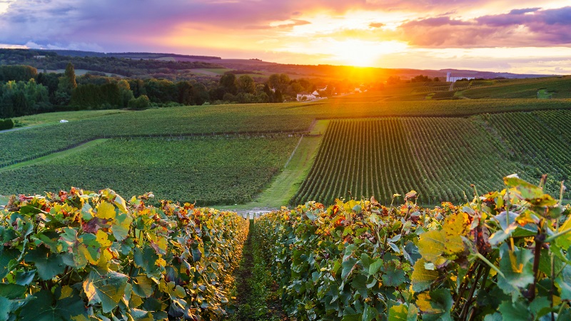 Programresor 2026 - Upplev Sverige, Norden och Europa! Nu �ven med fler avresor fr�n Ume�!