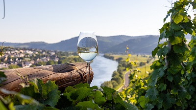 Champagne och Moseldalen med eleganta smaker och sagolika vyer