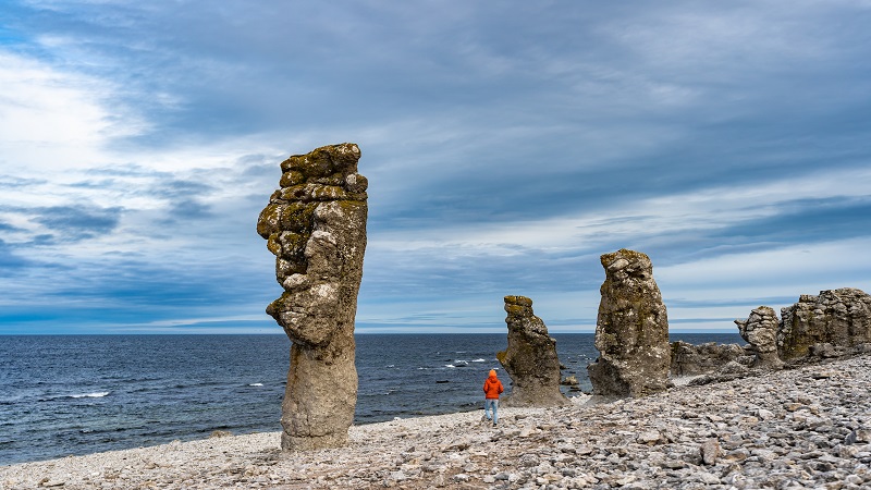 Digerhuvud på Fårö
